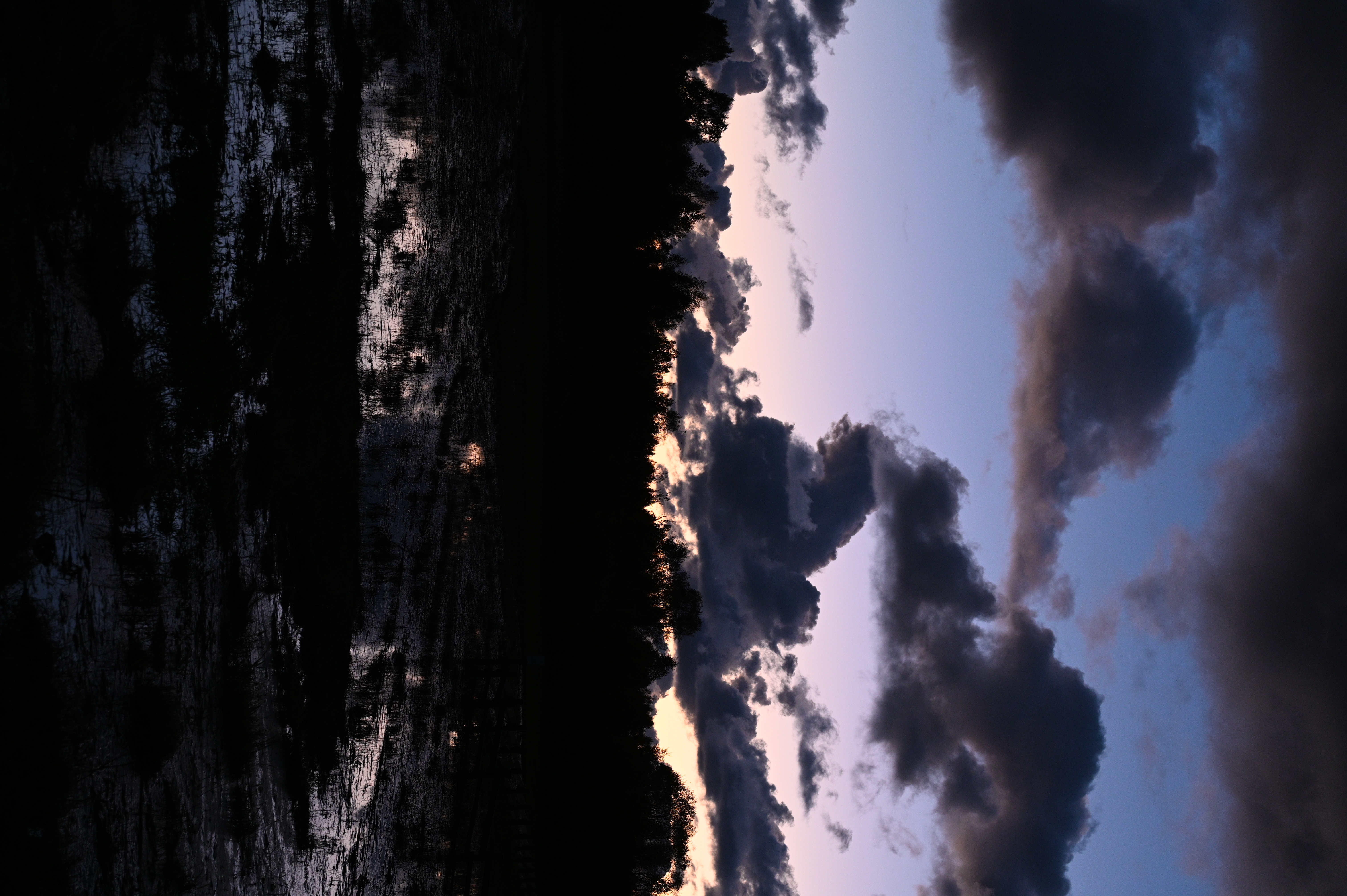 2025/10/18 - walk/DSC_0675.JPG